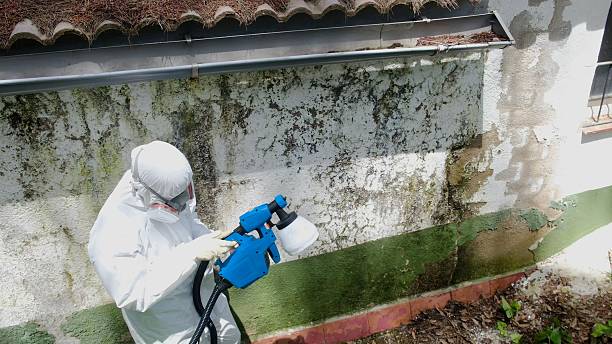 Top rated local Mold Cleanup specialists in Suffolk, VA